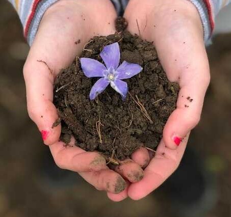 Koszalin. Sortowana ziemia ogrodowa.